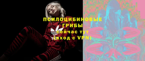 метадон Вяземский