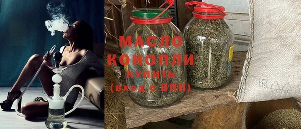 индика Приозерск