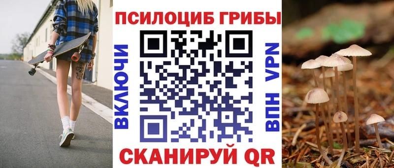 OMG зеркало  Калтан  Псилоцибиновые грибы Magic Shrooms 